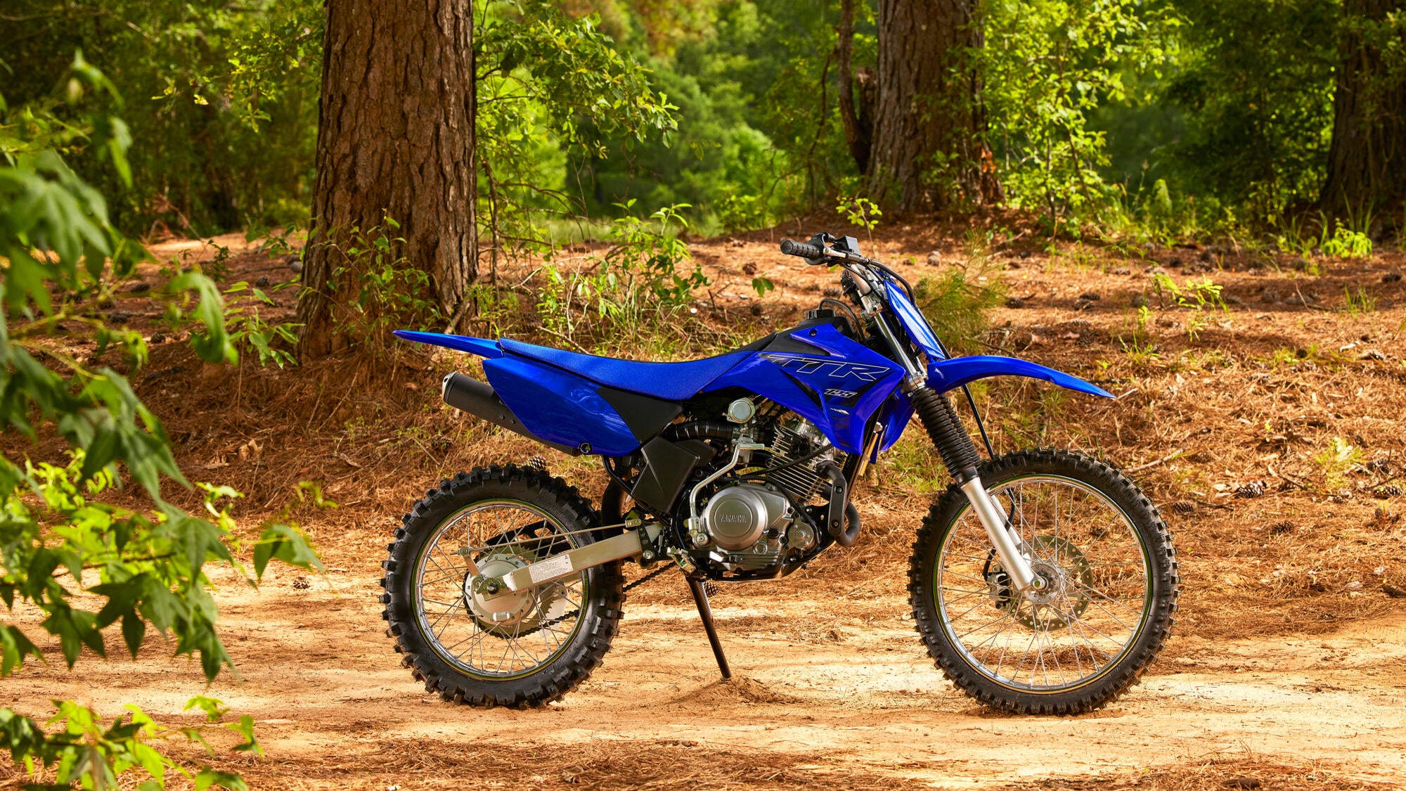 Yamaha TT-R125 model 2022