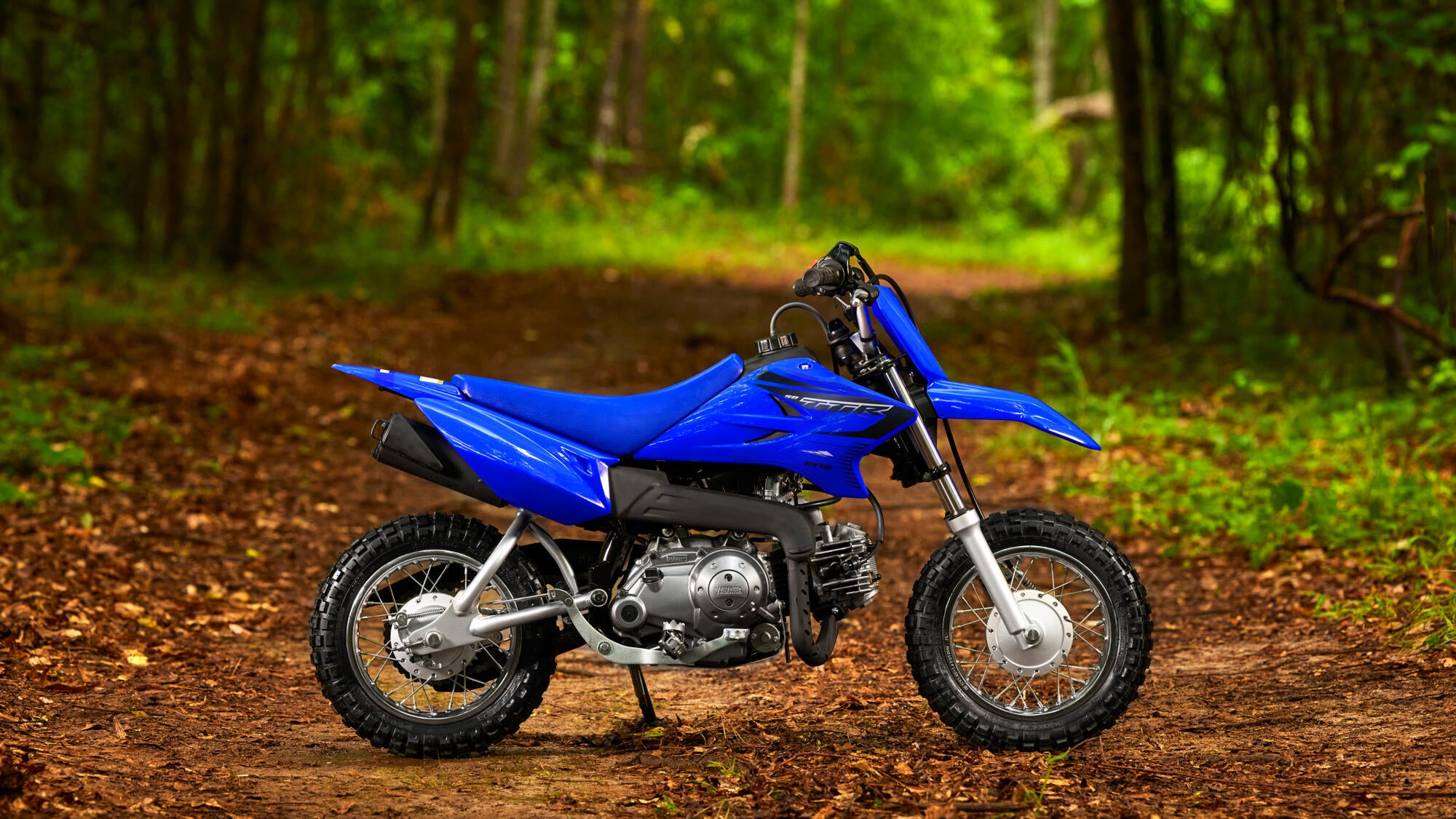 Yamaha TT-R50 model 2023
