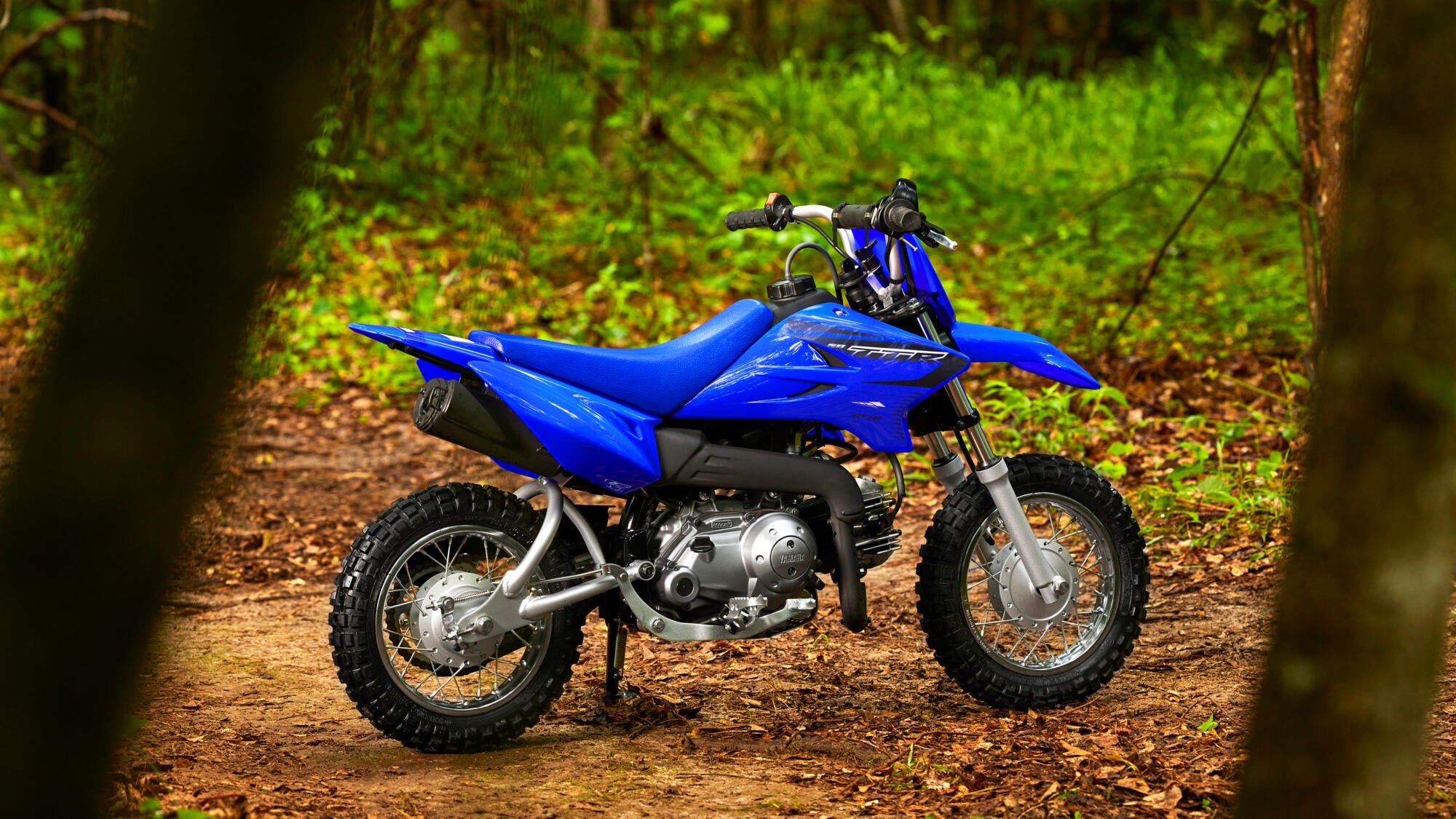 Yamaha TT-R50 model 2023