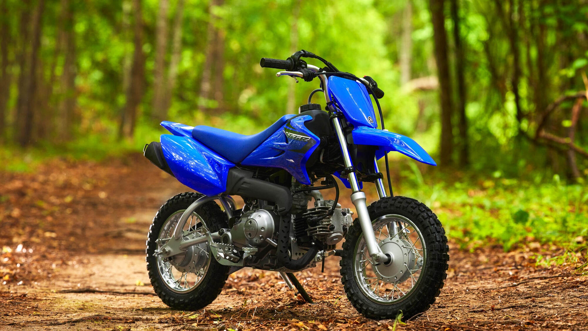 Yamaha TT-R50 model 2023