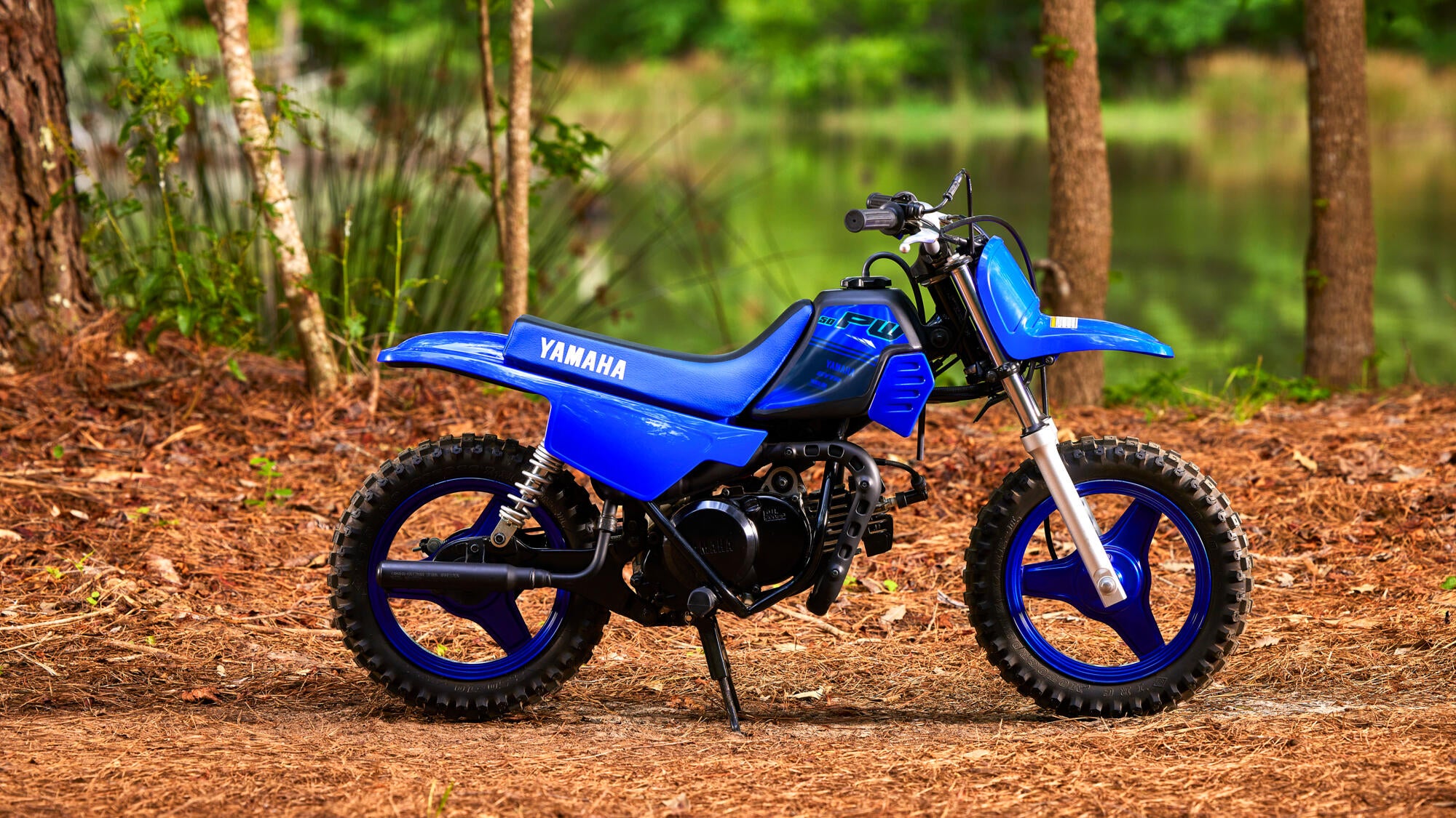 Yamaha PW50 model 2024