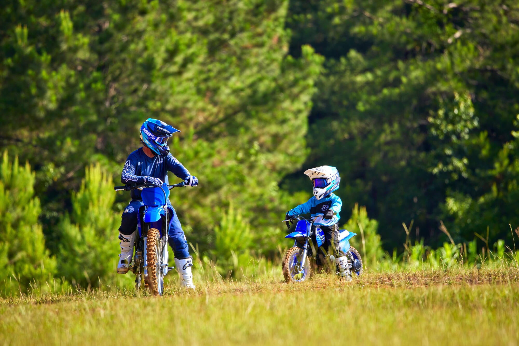 Yamaha PW50 model 2025
