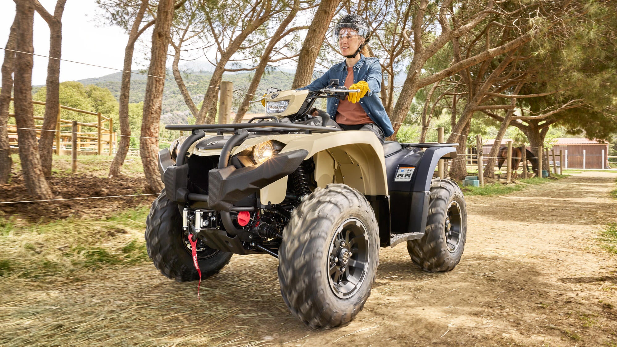 Yamaha Kodiak 450 EPS SE model 2025