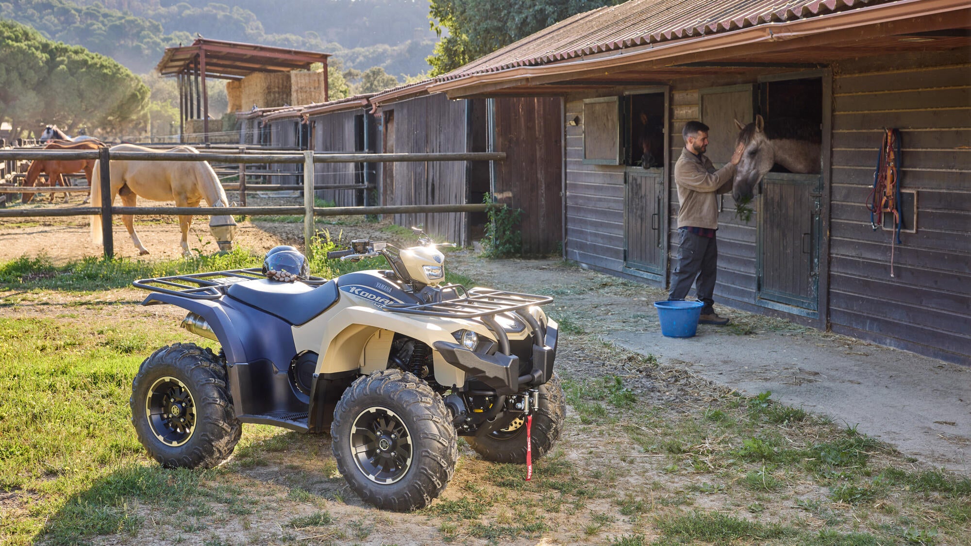 Yamaha Kodiak 450 EPS SE model 2025
