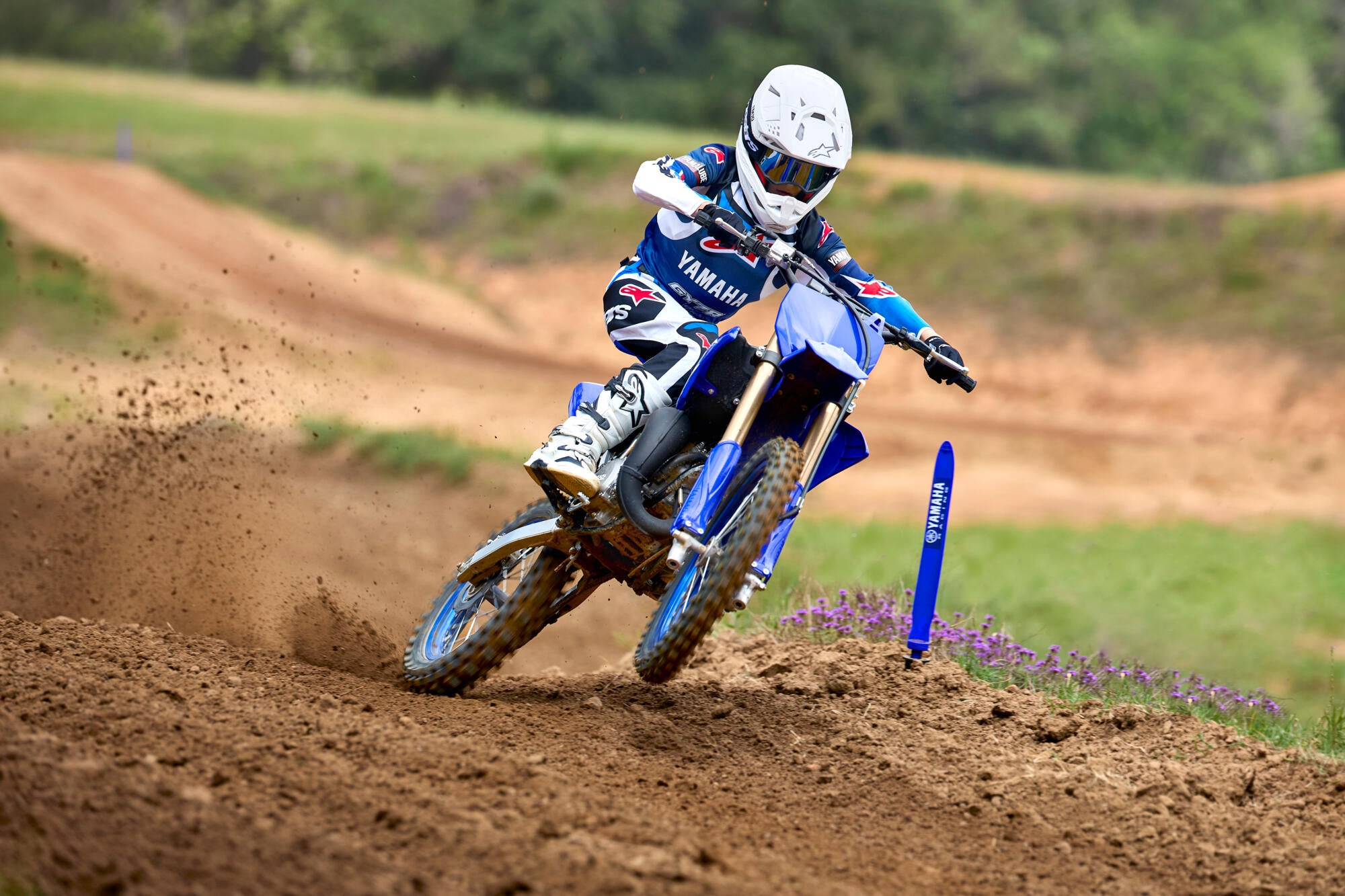 Yamaha YZ85 model 2026