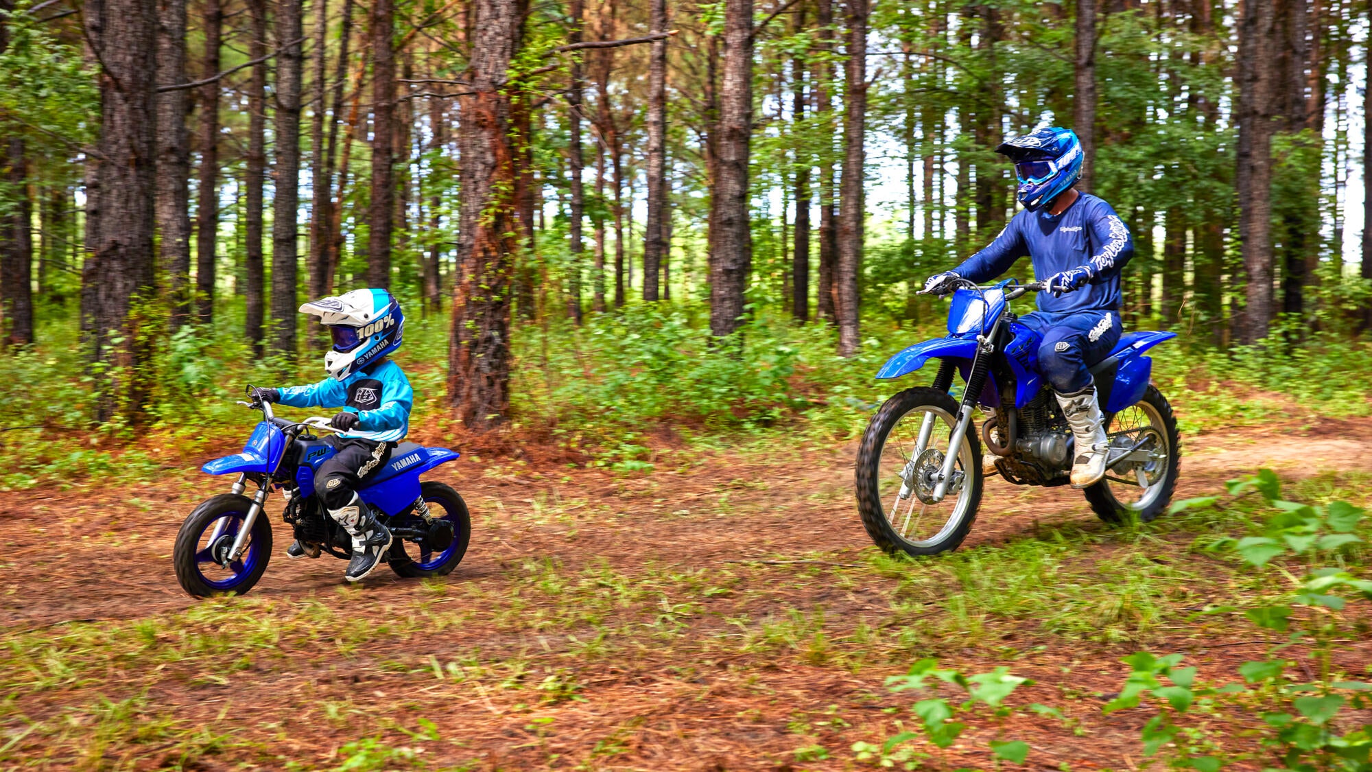 Yamaha PW50 model 2024