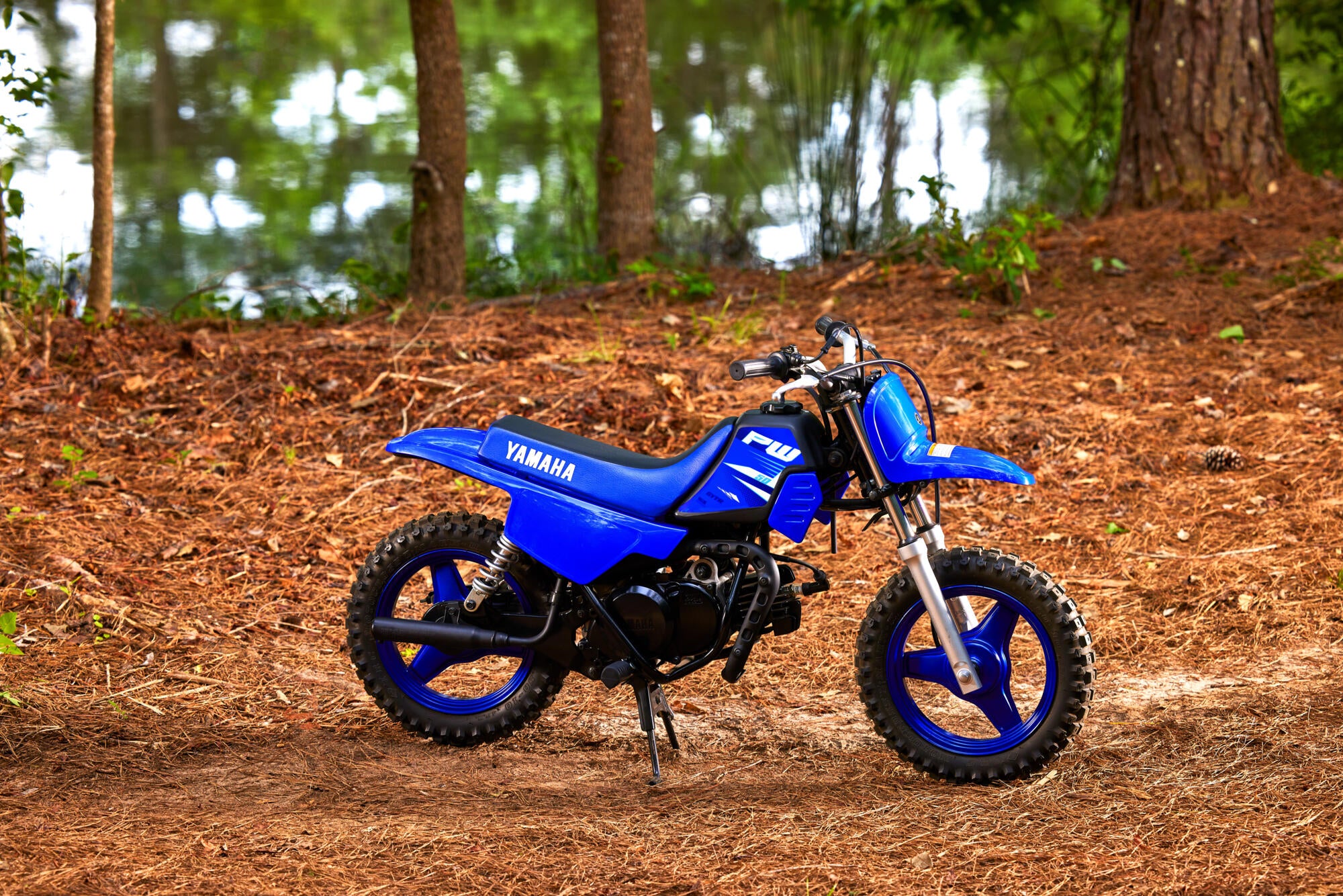 Yamaha PW50 model 2025