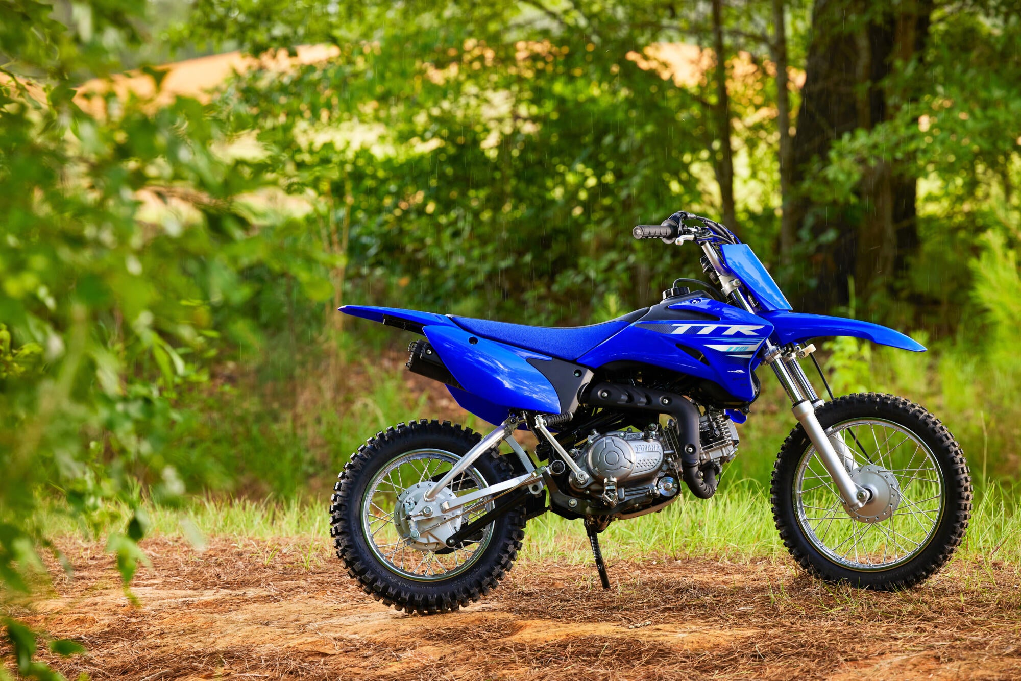 Yamaha TT-R110 model 2025