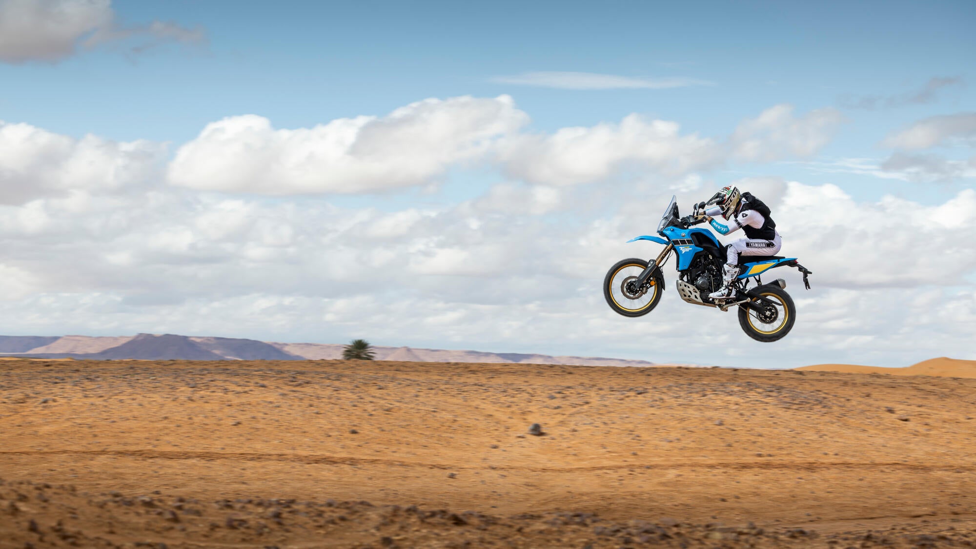 Yamaha Ténéré 700 Rally model 2025
