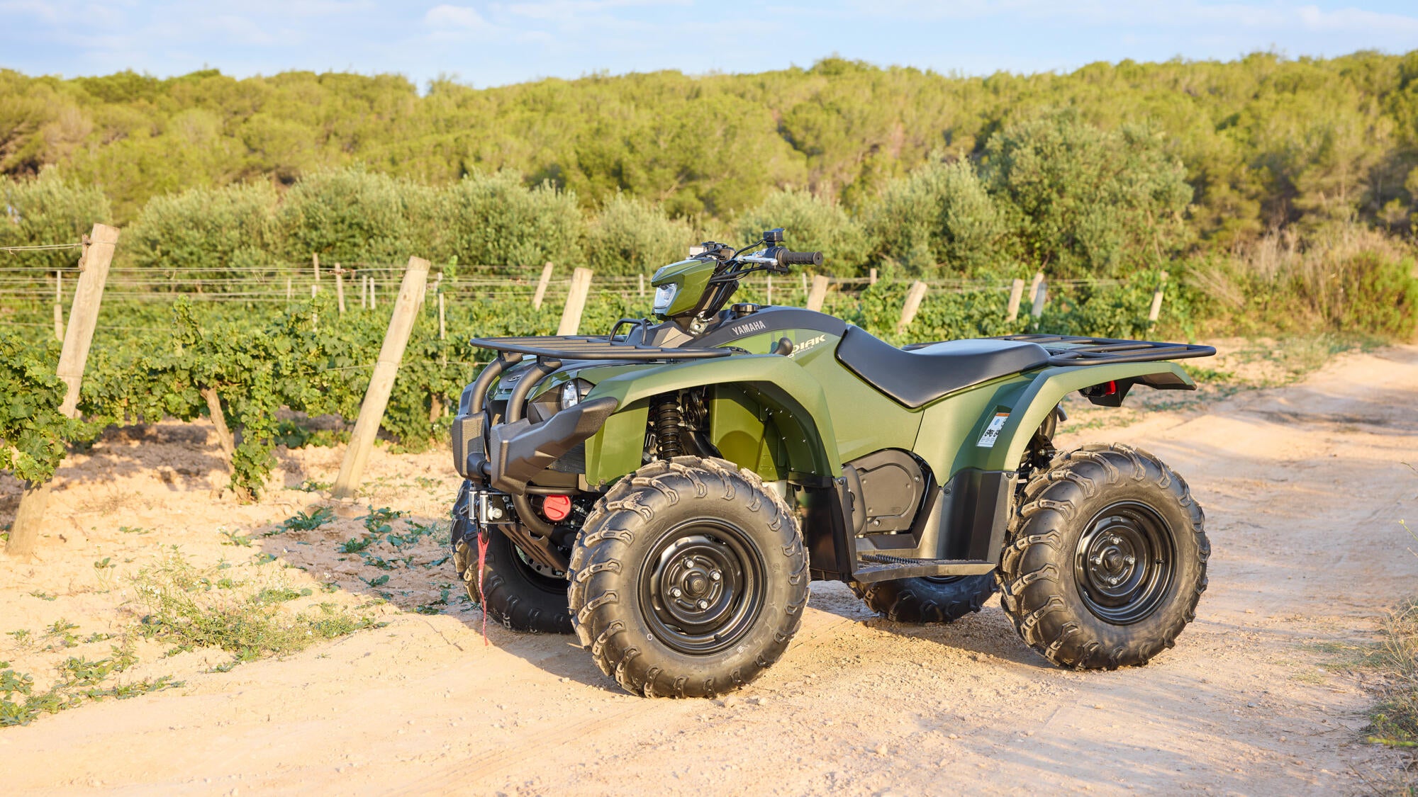Yamaha Kodiak 450 EPS model 2025