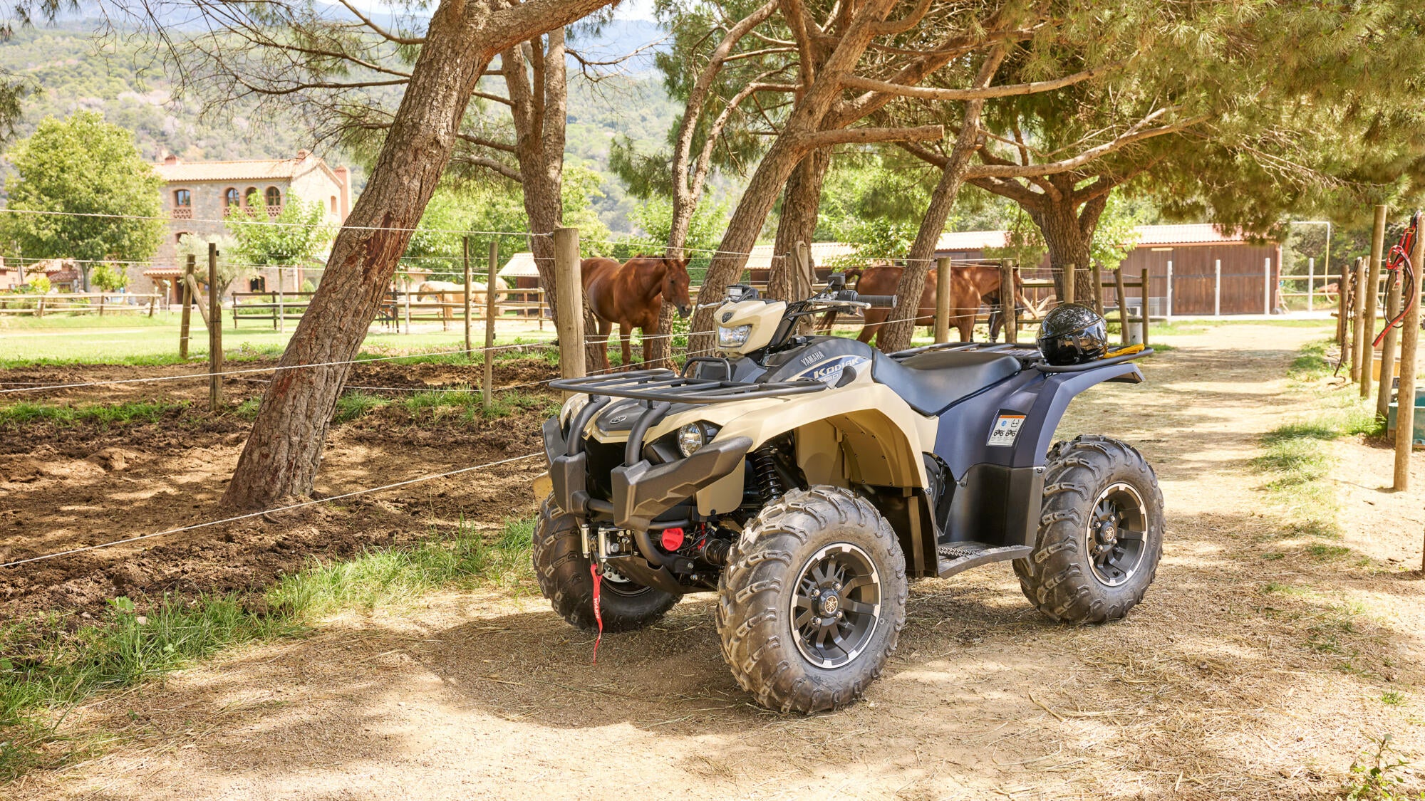 Yamaha Kodiak 450 EPS SE model 2025