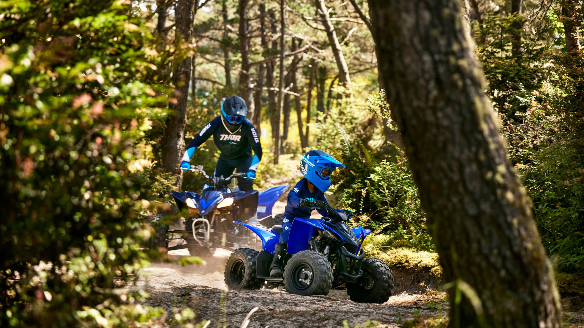 Yamaha YFZ50 model 2025