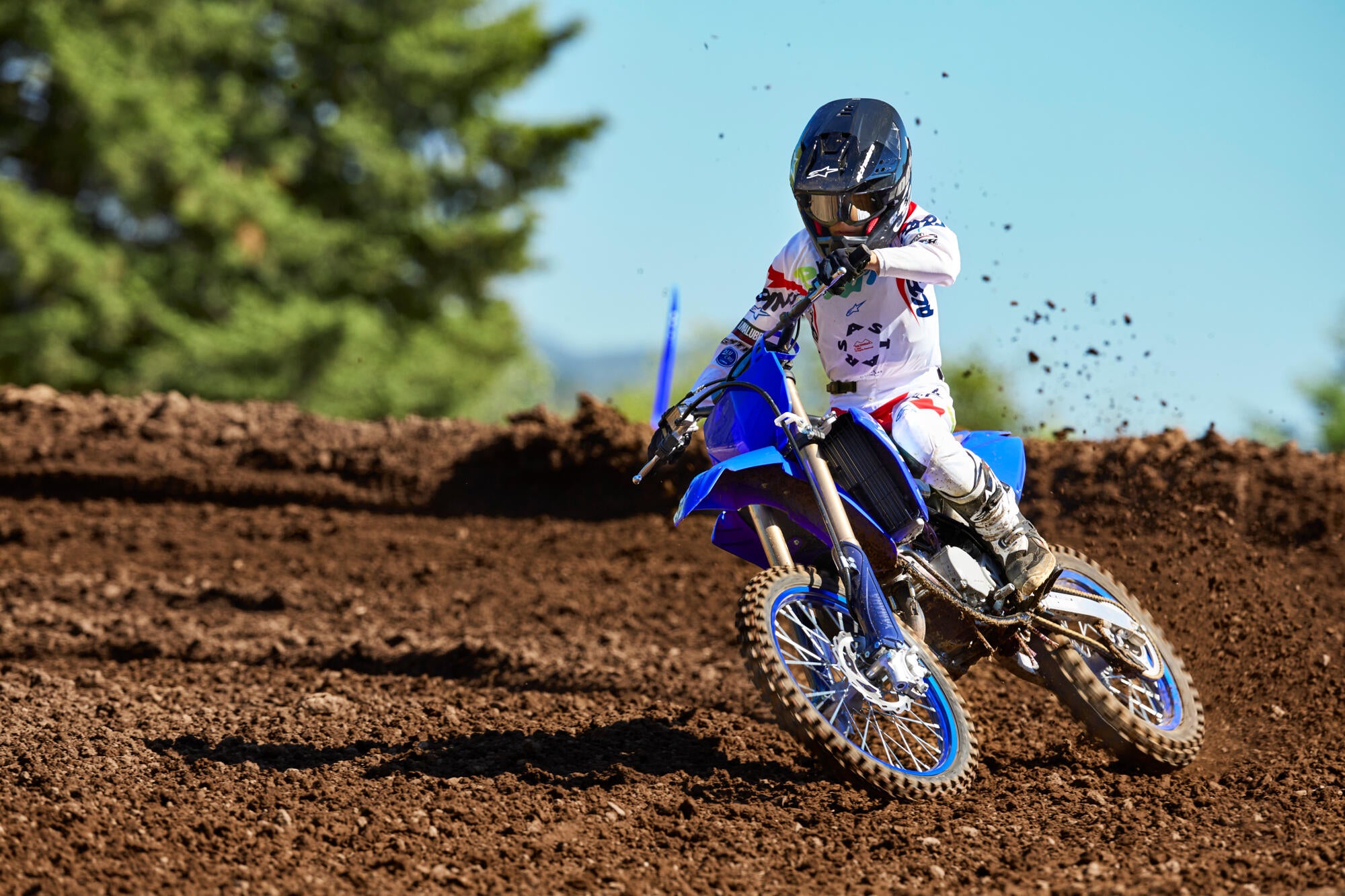 Yamaha YZ85 model 2025