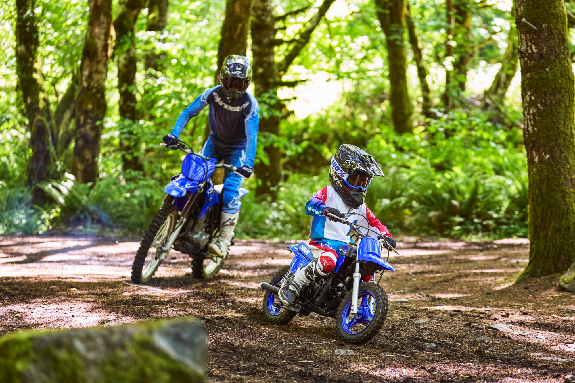 Yamaha PW50 model 2026