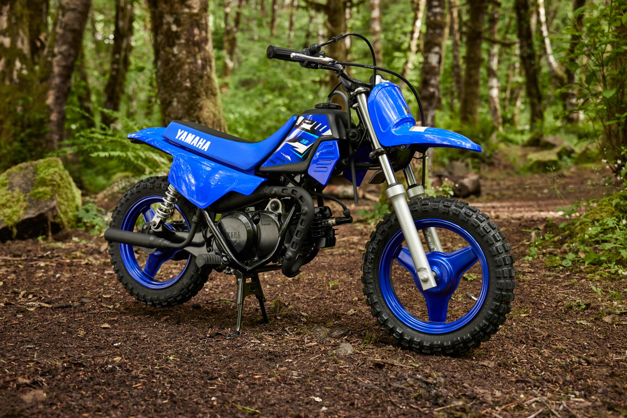 Yamaha PW50 model 2026