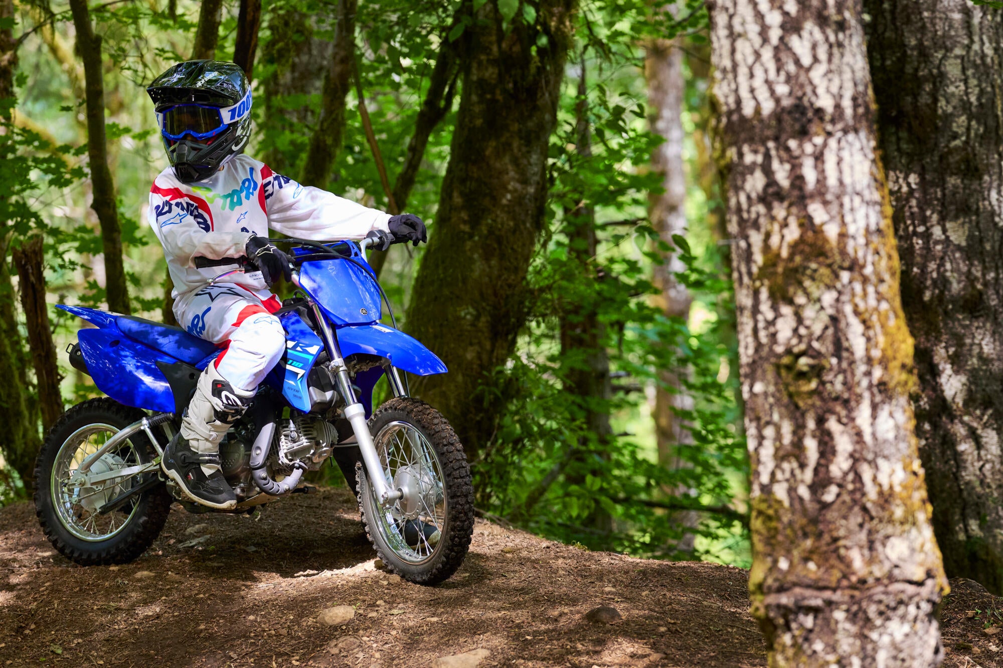 Yamaha TT-R110 model 2026