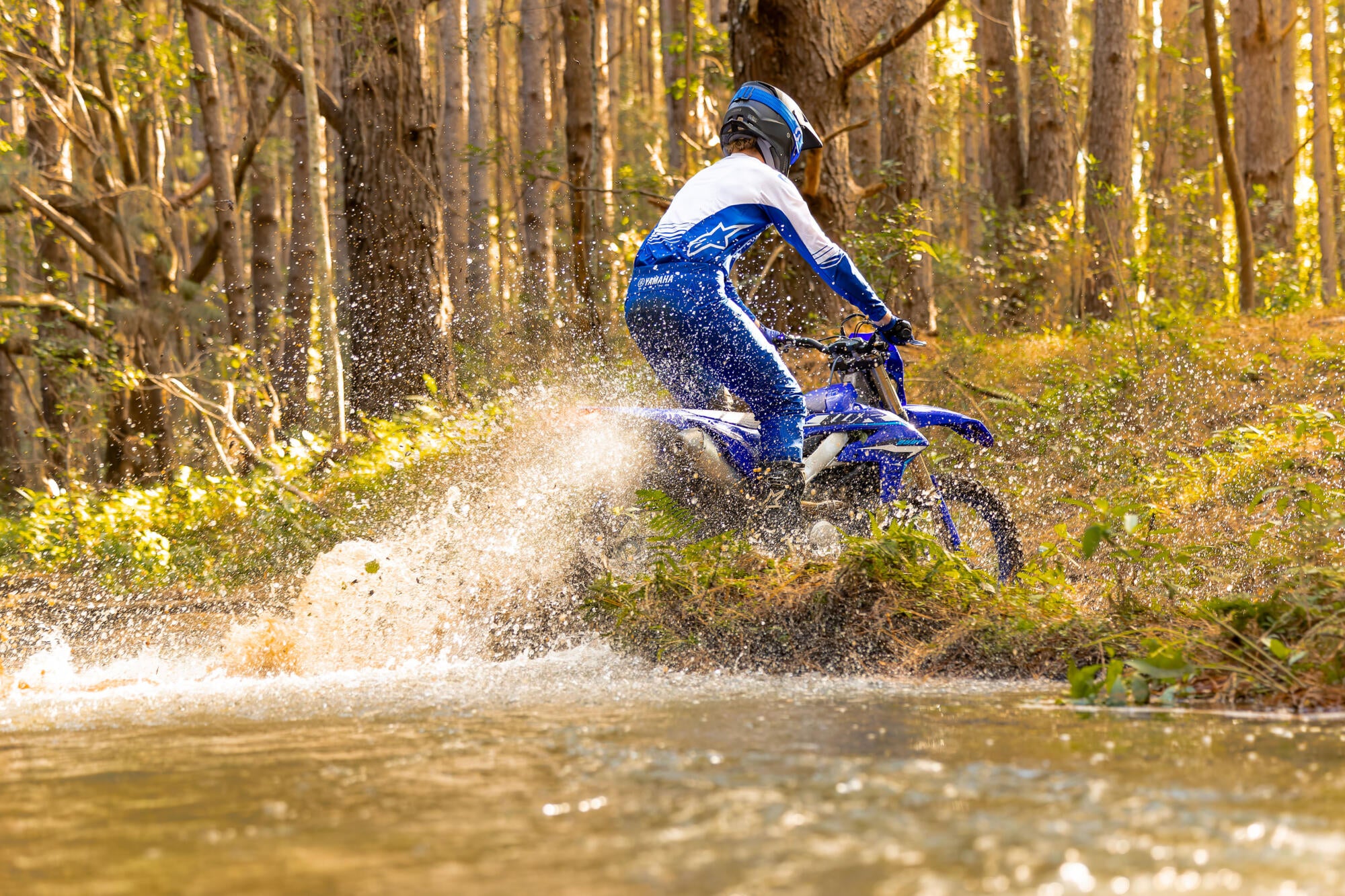 Yamaha WR250F model 2026